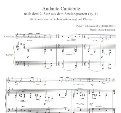 Andante cantabile – Bild 2