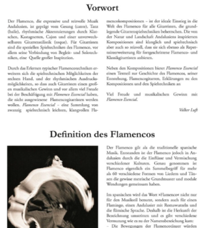 Flamenco Esencial – Bild 3