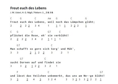 Tremolo / Oktav Mundharmonika Songbook - deutsche Volkslieder – Bild 4