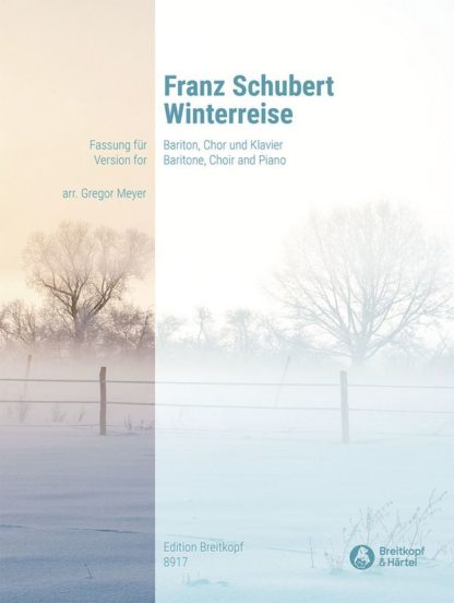 Winterreise D911 op.89